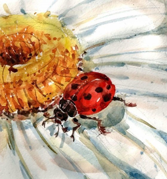 Божья коровка живопись