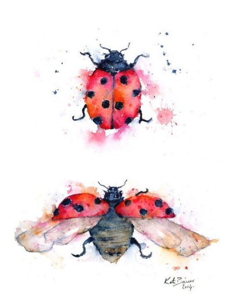 Натюрморт Божья коровка