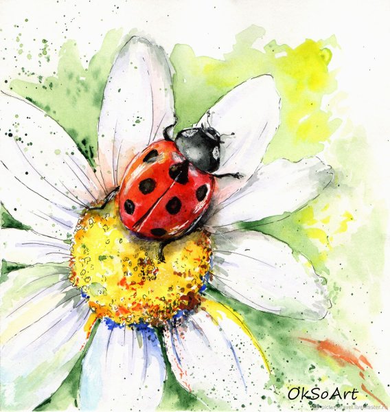 Насекомые рисунки реалистичные