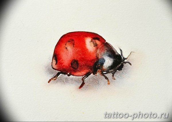 Божья коровка акварелью