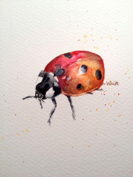 Божья коровка акварелью