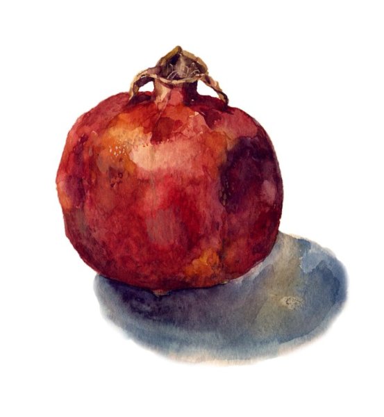 Гранаты акварелью