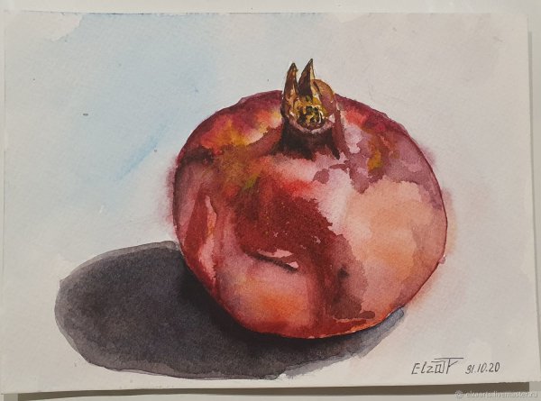 Гранат акварелью