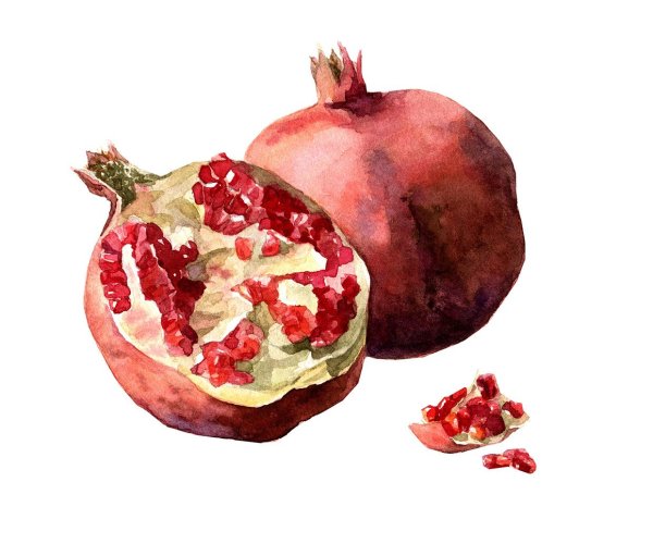 Гранаты акварелью
