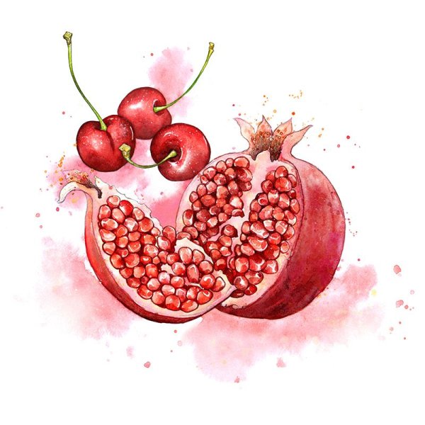 Гранат акварелью