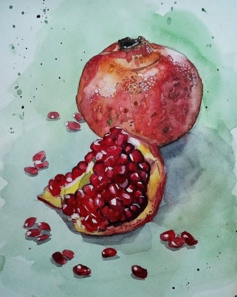 Гранат акварелью