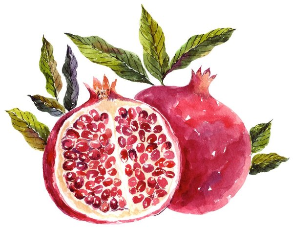 Рисование косточки граната