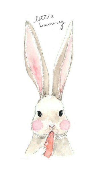 Акварельные милые кролики