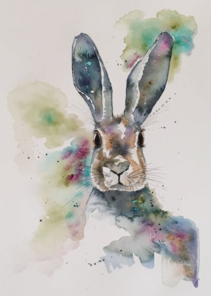 Акварельный заяц