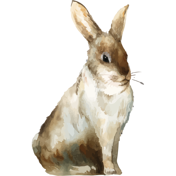 Кролик акварель