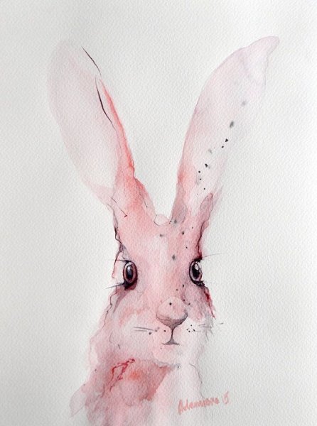 Акварельный заяц