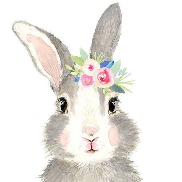 Кролик гуашью