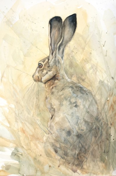 Кролик акварель