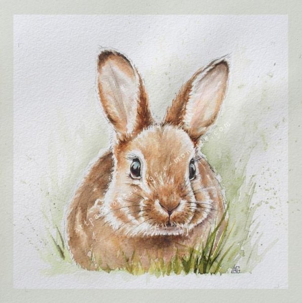 Заяц акварелью для детей