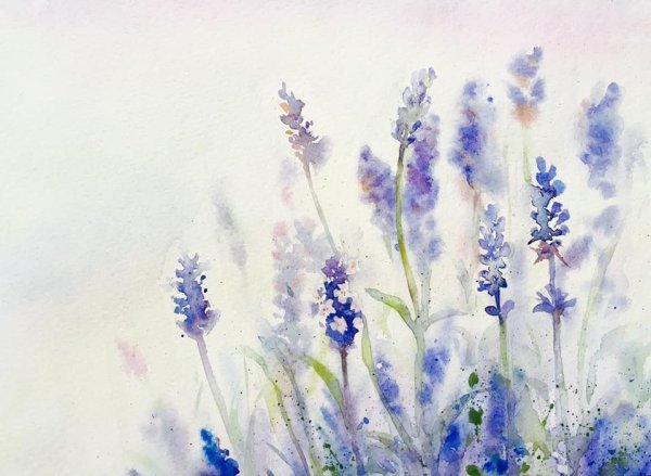 Цветы лаванды акварель