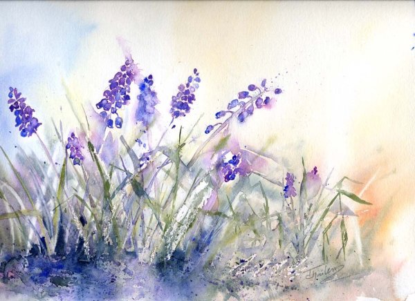 Лаванда розмарин акварель