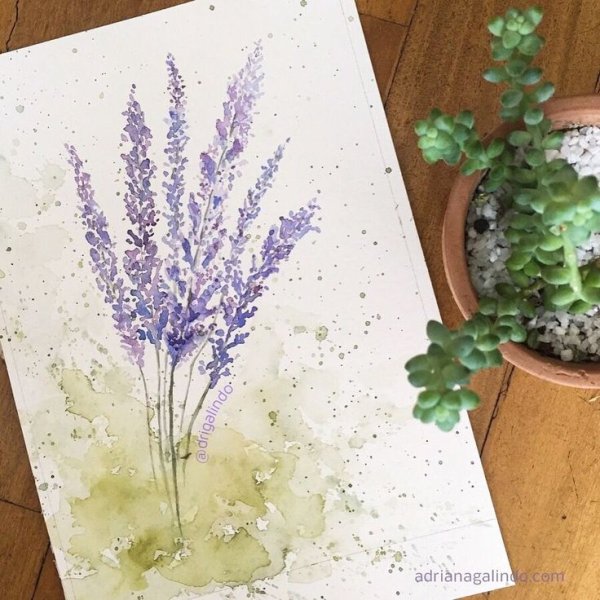 Рисуем лаванду акварелью