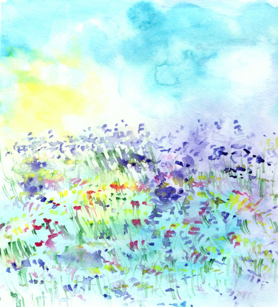 Поляна цветов акварель