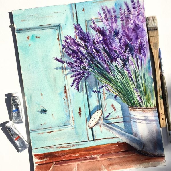 Скетчинг Лаванда