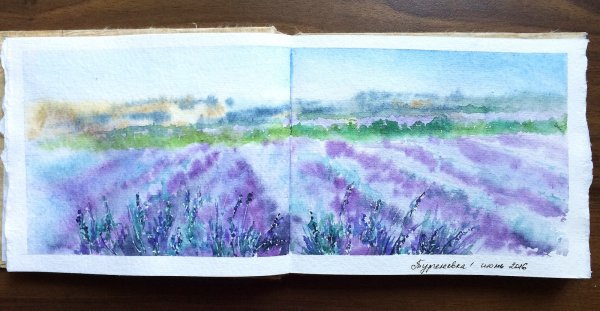 Скетчбук Лаванда