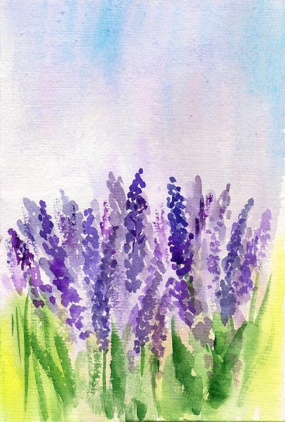 Лаванда красками
