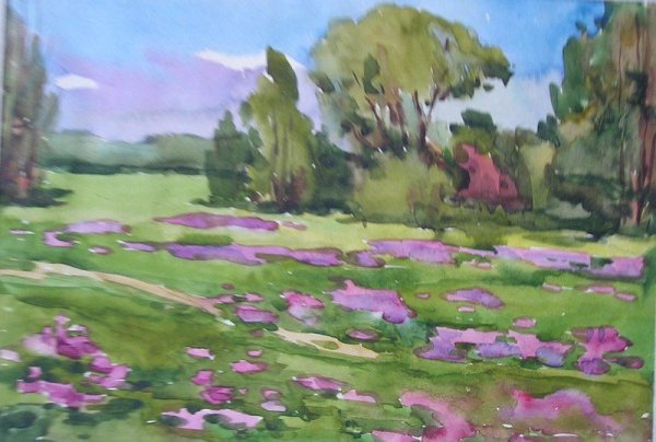 Поляна цветов акварель