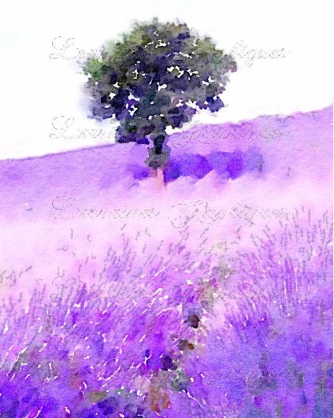 Акварельный скетчинг Лаванда