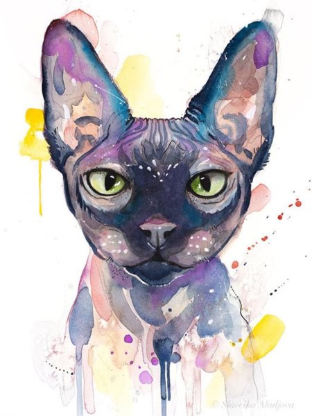 Кот сфинкс арт