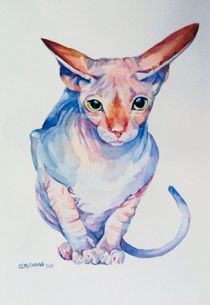 Кот сфинкс арт