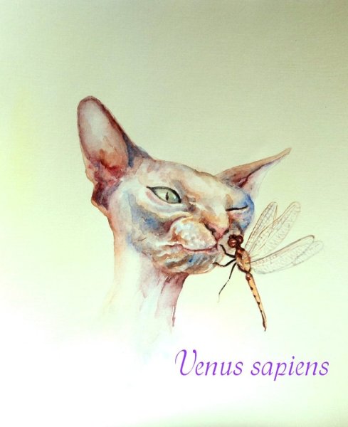 Сфинкс рисунок акварелью