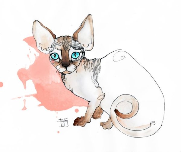 Сфинксы арт акварель