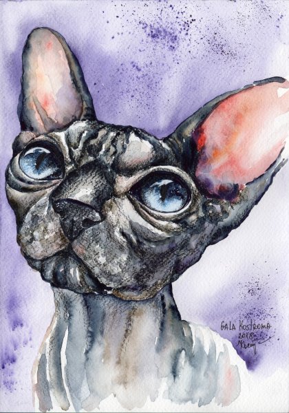 Сфинкс картина