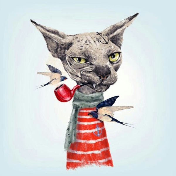 Канадский сфинкс портрет