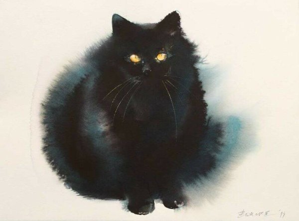 Котик гуашью