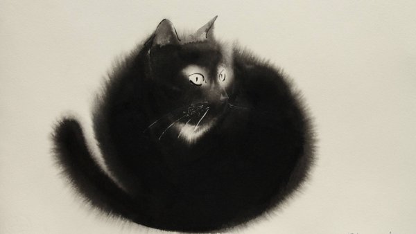 По Эдгар "черный кот"