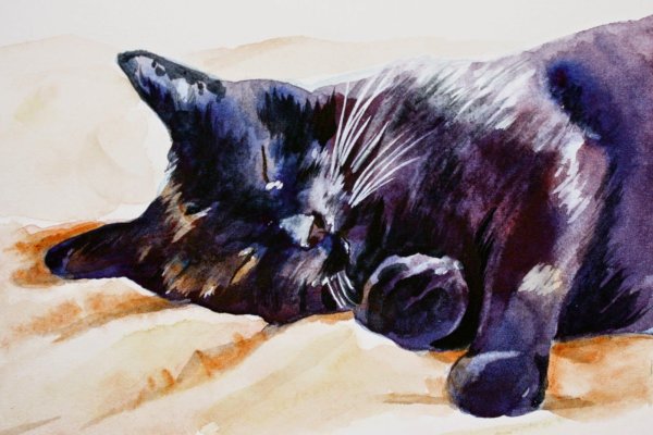 Endre Penovac коты