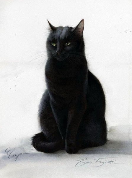 Коты Воители космос