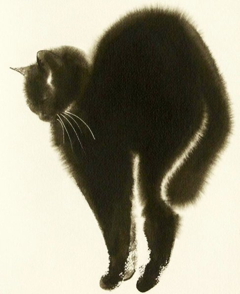 Акварельные силуэты животных