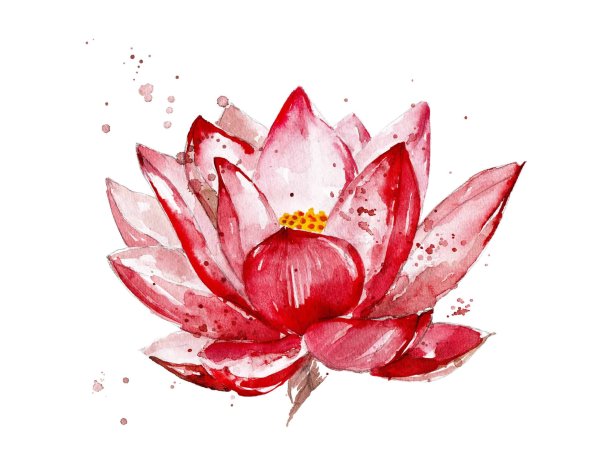 Лотос акварель эскиз