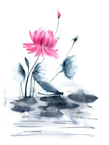 Цветок лотоса акварель