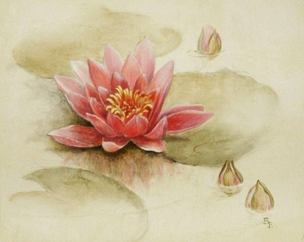 Для декупажа кувшинки