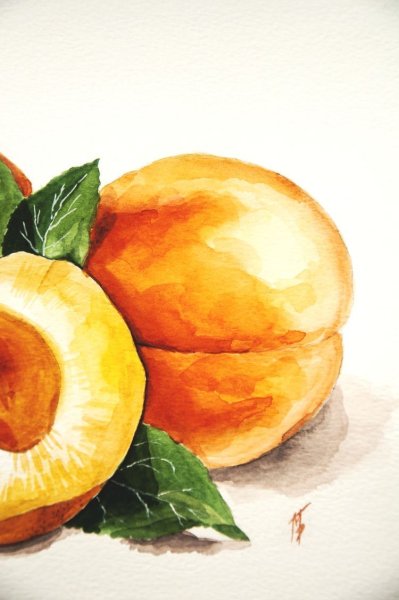 Фрукты акварелью