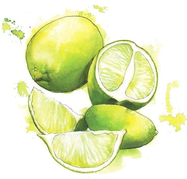 Лимон акварелью