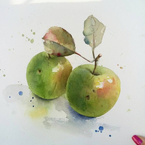 Яблоко живопись акварель