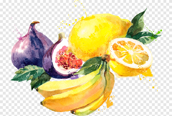 Фрукты и овощи акварелью