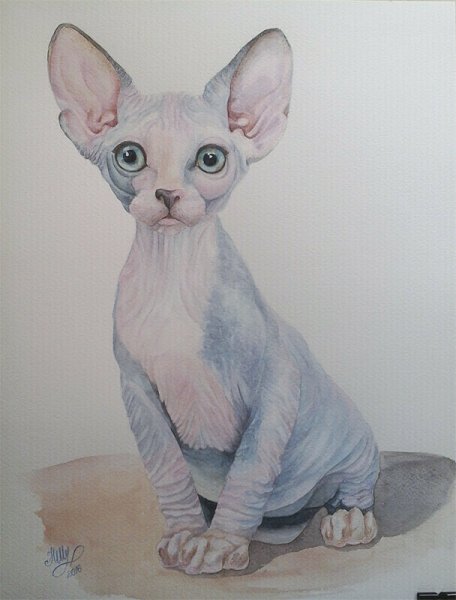 Тату сфинкс акварель эскизы