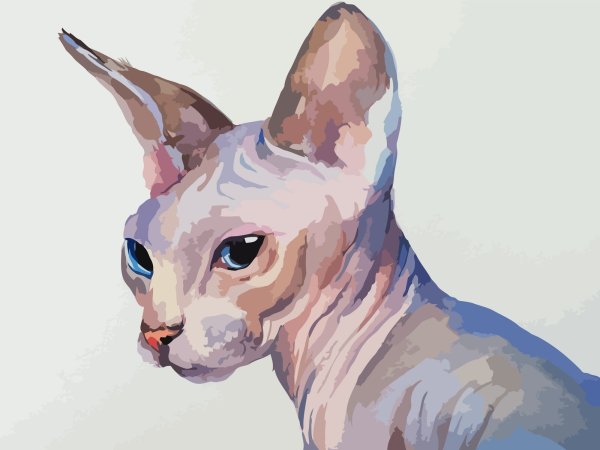 Сфинкс альбинос