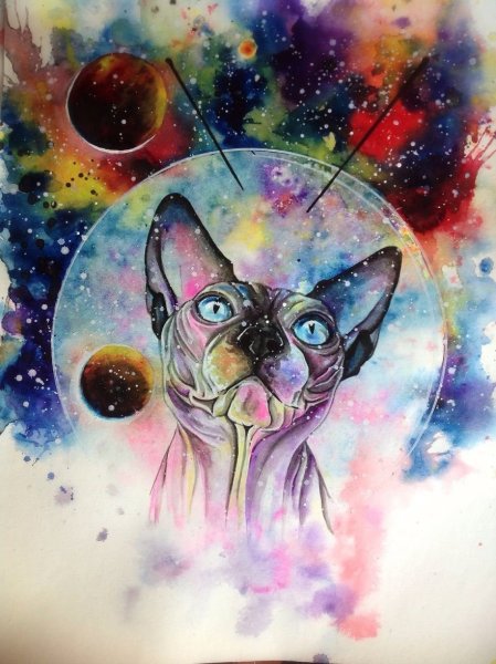 Кошка сфинкс акварель