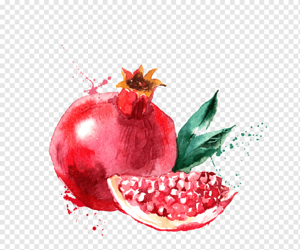 Фрукты акварелью