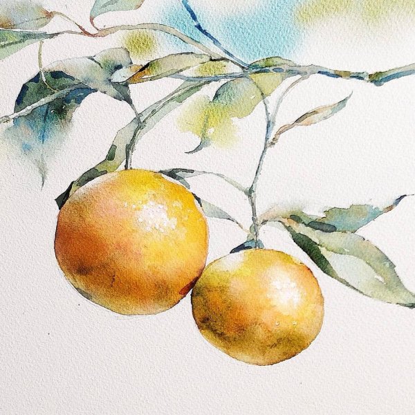 Зарисовки фруктов акварелью